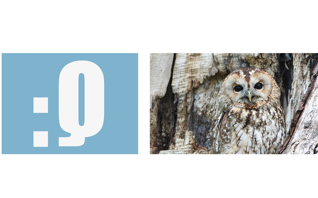 Newsletter qualitynews November 2024